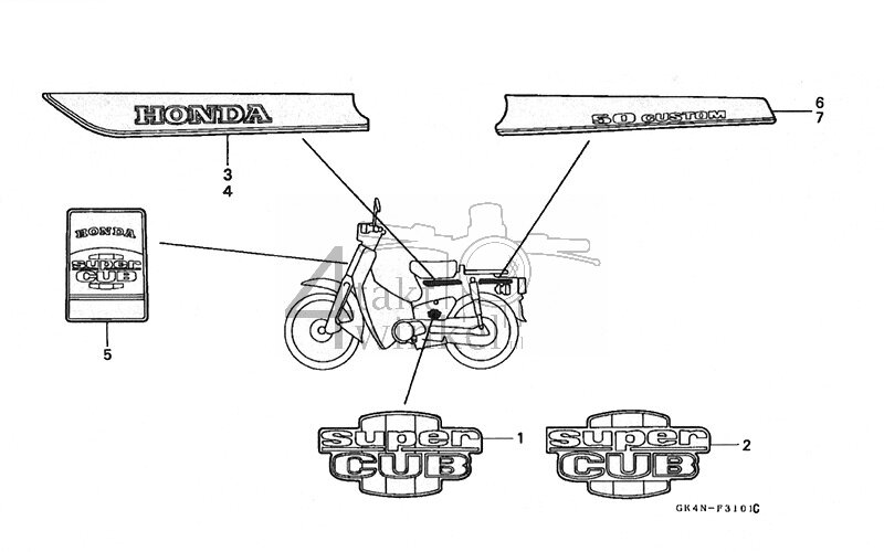 F31-1 - Stripe (C50N-P) (CM2)