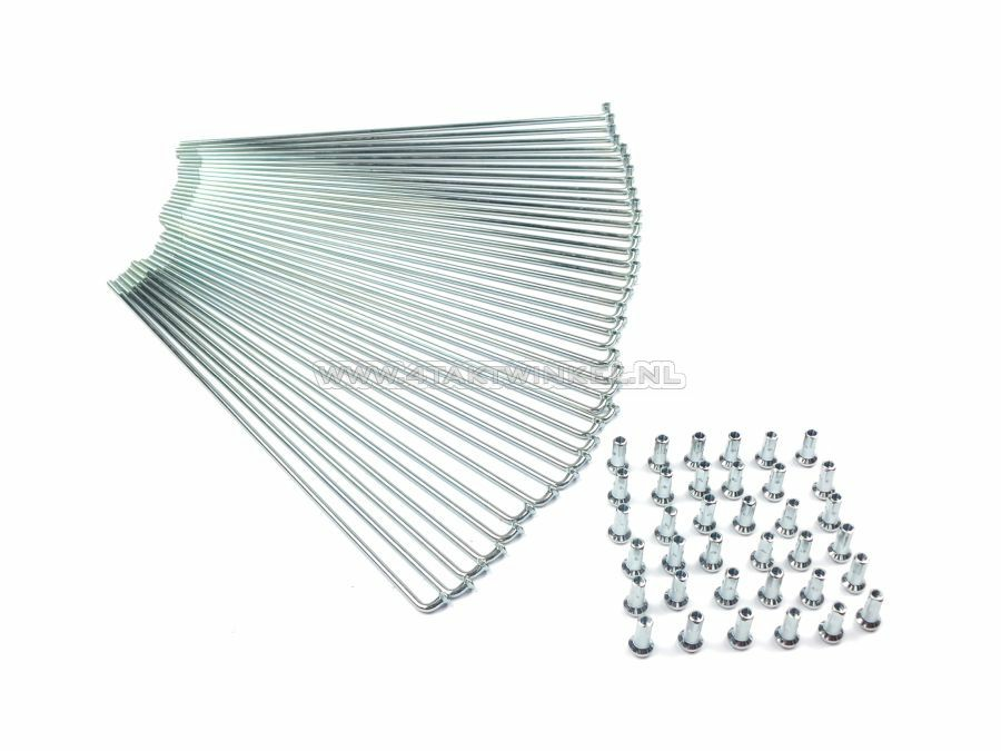 Jeu de rayons, 210mm x 2,9mm, chrome