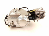 Moteur, 85cm3, embrayage manuel, Lifan, 4 vitesses, argent