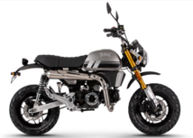 Bluroc X-Bongo EFI, 50cc, Euro 5, Grey