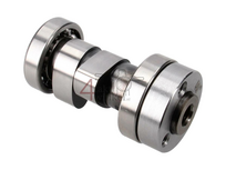 Arbre &agrave; cames culasse NT avec roulements Fast