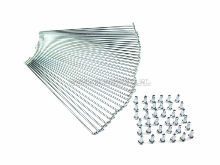 Jeu de rayons, 210mm x 2,9mm, chrome