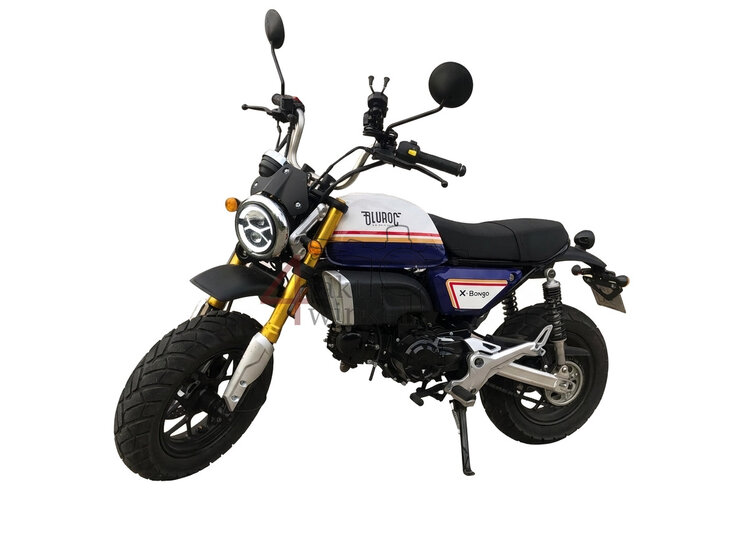 Bluroc X-Bongo EFI, 50 cc, Euro 5, Bleu Strike Racing, d'occasion
