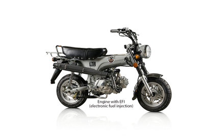 ÉPUISÉ! Skymax Club, EFI, 50cc, Euro4, Gray